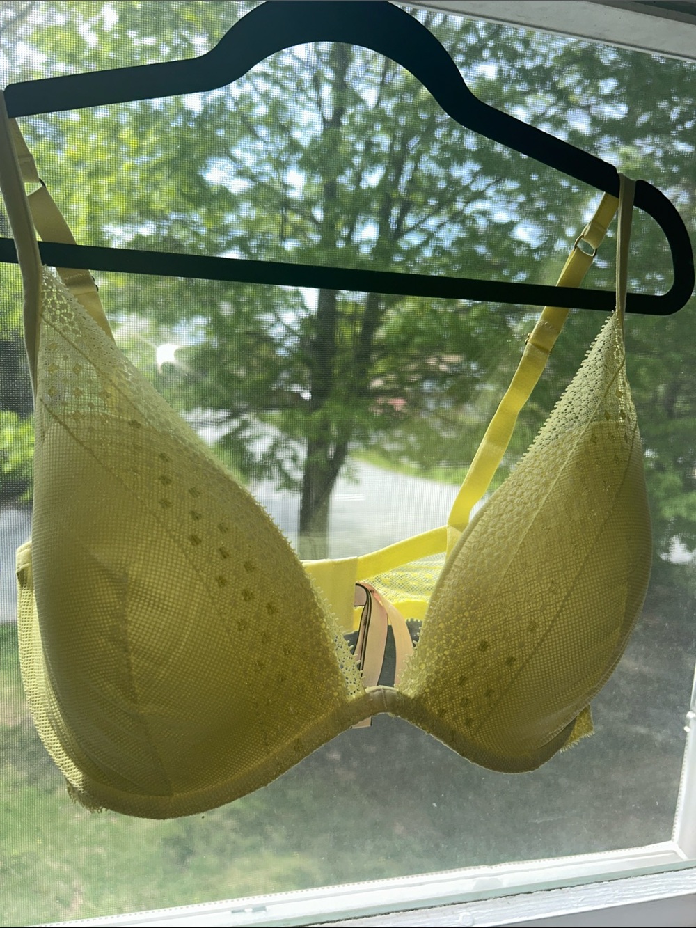 Victoria's Secret Lemon Lace Push-Up Bra 34DDD